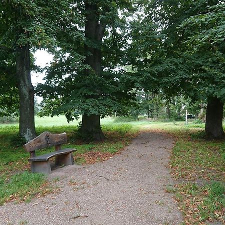 Fewo In Neustadt/Dosse, Der Stadt Der Pferde Leddin Eksteriør bilde