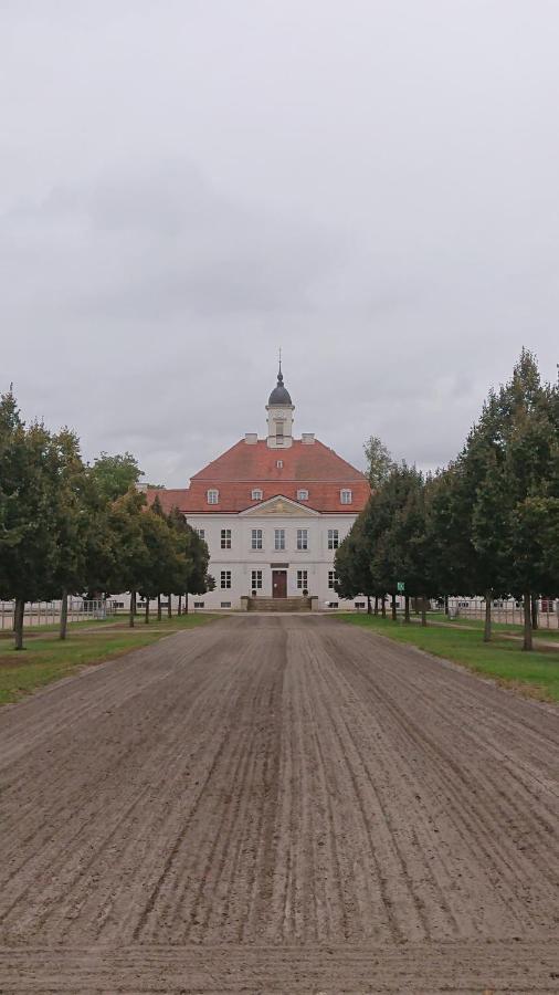 Fewo In Neustadt/Dosse, Der Stadt Der Pferde Leddin Eksteriør bilde